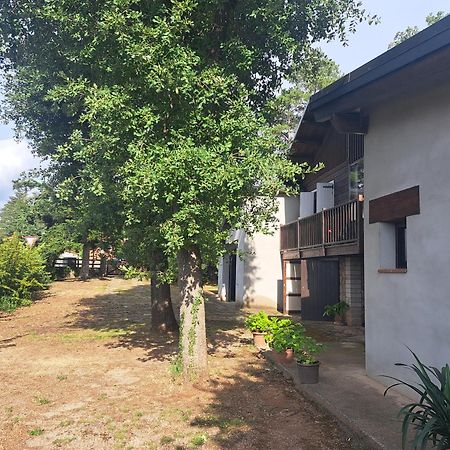 Apartamento La Casa Del Pi El Pi de Sant Just Exterior foto